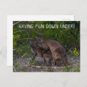 Nach Spaß unter Kangaroo Australien Postkarte (Vorne/Hinten)