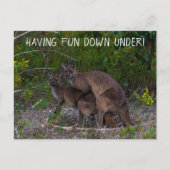 Nach Spaß unter Kangaroo Australien Postkarte (Vorderseite)