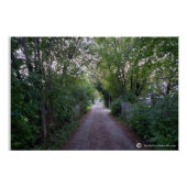 Nach unten poster (Vorderseite)