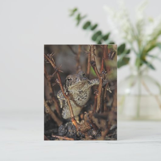 Nach unten postkarte (Stehend Vorderseite)