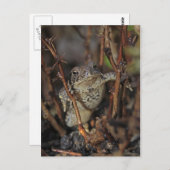 Nach unten postkarte (Vorne/Hinten)