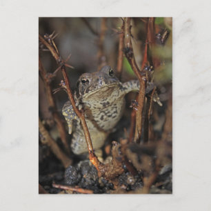 Nach unten postkarte