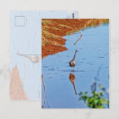 Nachahmung Postkarte (Vorne/Hinten)