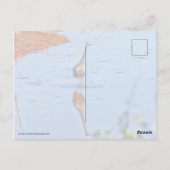 Nachahmung Postkarte (Rückseite)