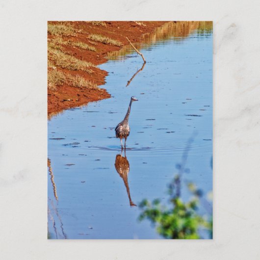 Nachahmung Postkarte (Vorderseite)