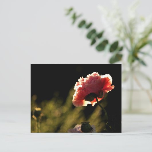 Nachbargarten Postkarte (Stehend Vorderseite)