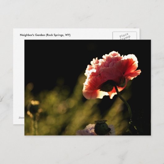 Nachbargarten Postkarte (Vorne/Hinten)