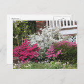 Nachbarschaft Azaleen Postkarte (Vorne/Hinten)