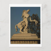 Nachbildung eines der beiden "Frühpferde" Postkarte (Vorderseite)