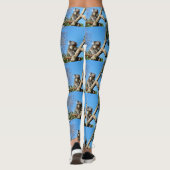 nachdenklich australische Koala, Leggings (Rückseite)