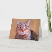 Nachdenkliche Kitty wird gut Karte (Vorderseite)