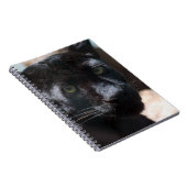 Nachdenklicher schwarzer Panther Notizblock (Rechte Seite)