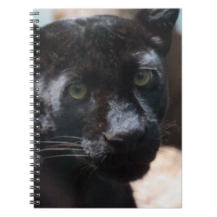 Nachdenklicher schwarzer Panther Notizblock