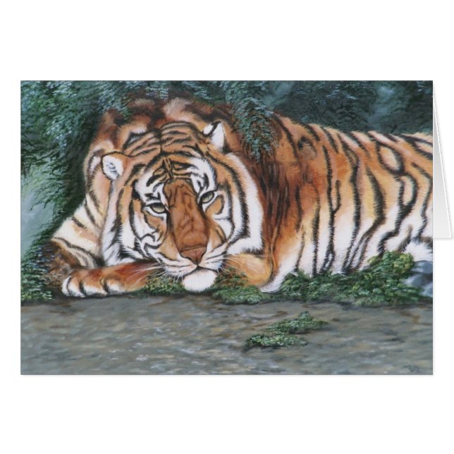 "Nachdenklicher Tiger " (Vorderseite (Horizontal))