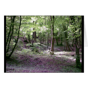 Nachdruck des Friedens