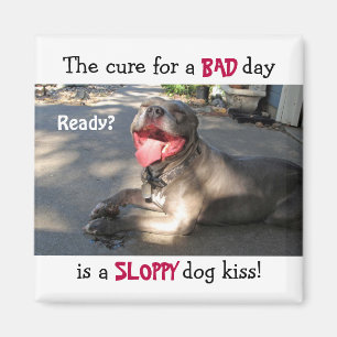 Nachlässiger Hundekuss-Magnet Magnet