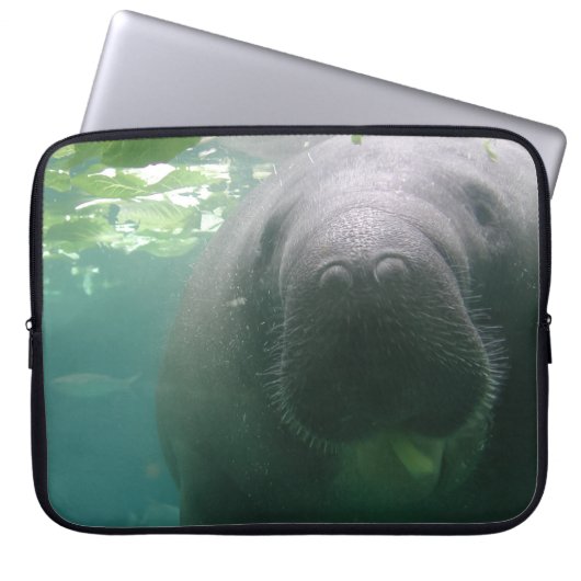 Nachlässiger Manatislaptop Laptopschutzhülle (Vorderseite)