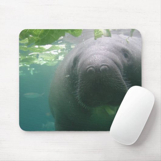 Nachlässiges Manatis mousepad (Mit Mouse)