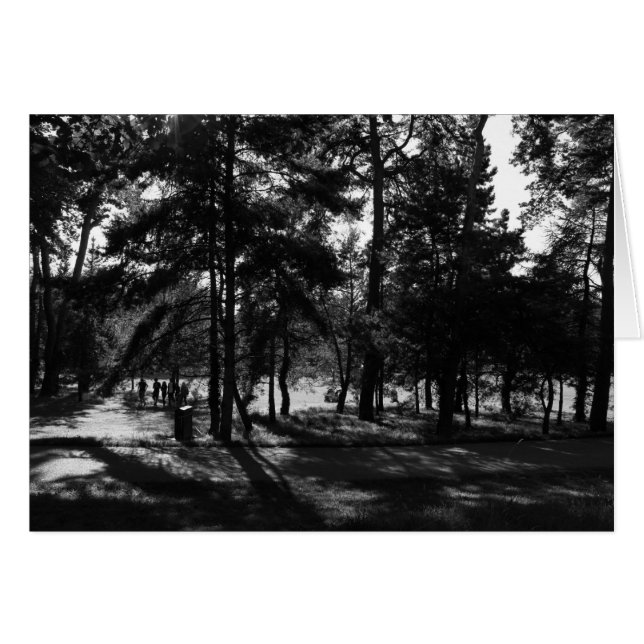 Nachmittag im Park (Vorderseite (Horizontal))