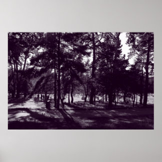 Nachmittag im Park (Lila gesungen) Poster