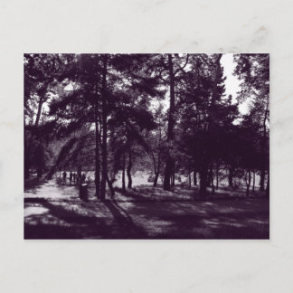 Nachmittag im Park (Lila Toned BW) Postkarte
