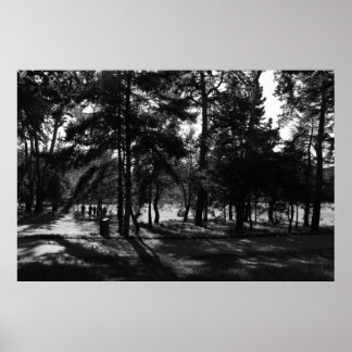 Nachmittag im Park Poster