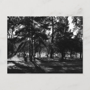 Nachmittag im Park Postkarte