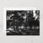 Nachmittag im Park Postkarte (Vorne/Hinten)