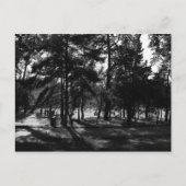 Nachmittag im Park Postkarte (Vorderseite)