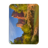 Nachmittag im Zion-Nationalpark Magnet (Vertikal)