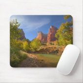 Nachmittag im Zion Nationalpark Mousepad (Mit Mouse)