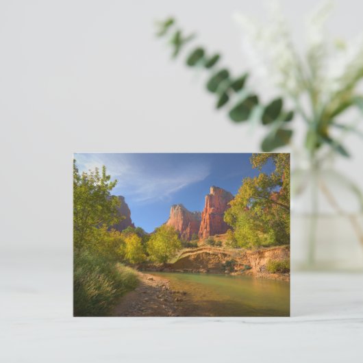 Nachmittag im Zion Nationalpark Postkarte (Stehend Vorderseite)