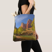 Nachmittag im Zion-Nationalpark Tasche (Von Nahem)