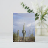 Nachmittag in der Wüste Postkarte (Stehend Vorderseite)