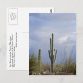 Nachmittag in der Wüste Postkarte (Vorne/Hinten)
