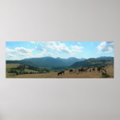 Nachmittag in Sweegrass Poster (Vorne)