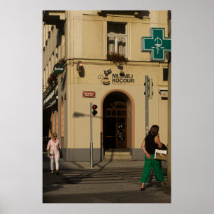 Nachmittag in Vinohrady, Prag Poster