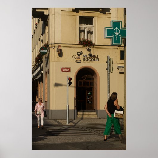 Nachmittag in Vinohrady, Prag Poster (Vorne)