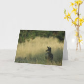 Nachmittag Mulie, Gruß-Karte durch Kennzeichen Karte (Gelbe Blume)