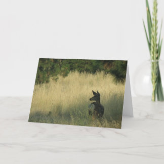 Nachmittag Mulie, Gruß-Karte durch Kennzeichen Karte