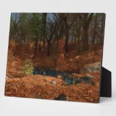 Nachmittags der Bilderbühne Fotoplatte (Seite)