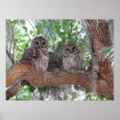 Nachmittags Erholung Poster (Vorne)