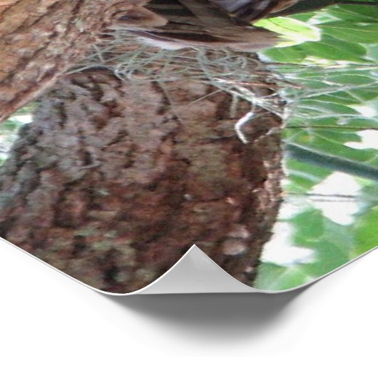 Nachmittags Erholung Poster (Ecke)