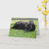 Nachmittags Nickerchen Karte (Gelbe Blume)