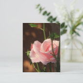 Nachmittags Rosa Single Postkarte (Stehend Vorderseite)