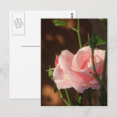 Nachmittags Rosa Single Postkarte (Vorne/Hinten)