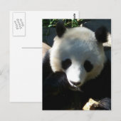 Nachmittags Snack 1 Postkarte (Vorne/Hinten)