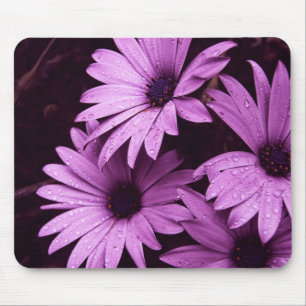 Nachmittagsduschen Lila rosa Blume Mousepad
