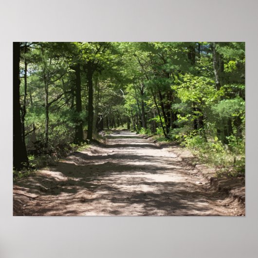 Nachmittagshadows Poster (Vorne)