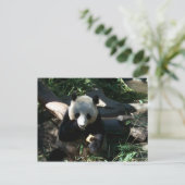 Nachmittagsjause Postkarte (Stehend Vorderseite)